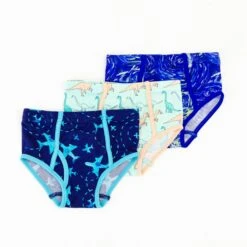 3 Pack Boy's Brief Underwear - Historic Trio