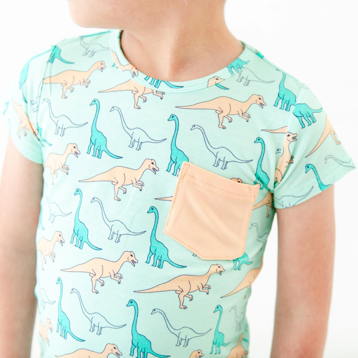 Land Before Bedtime Pocket Tee And Jogger Set - Jurassic Jungle 4 Land Before Bedtime Pocket Tee And Jogger Set - Jurassic Jungle - Image 2